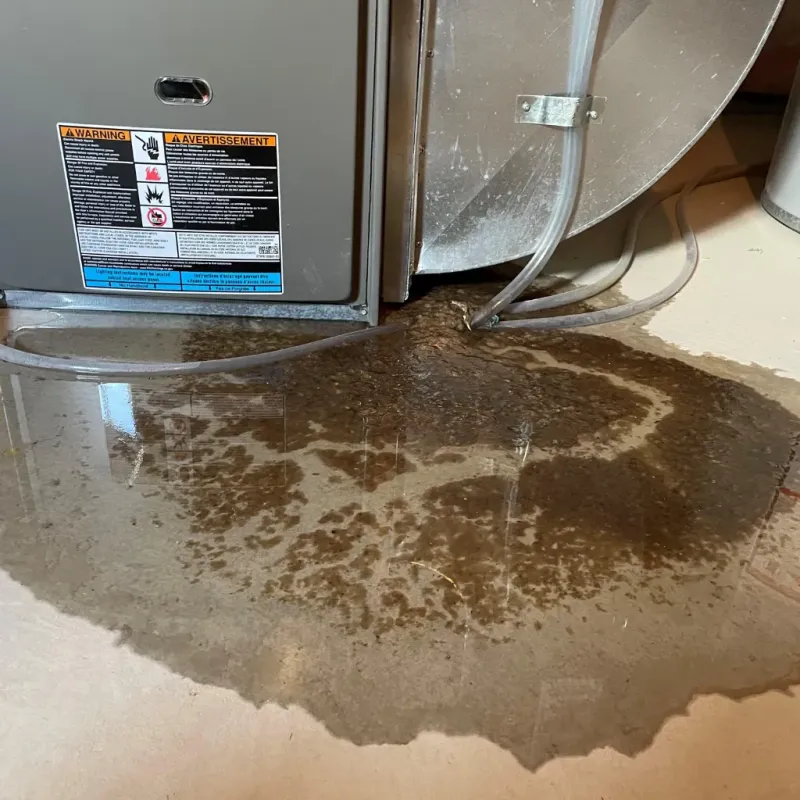 Appliance Leak Cleanup in Grand Canyon, AZ