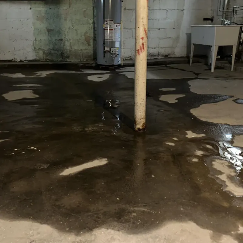 Emergency Water Extraction And Removal in Grand Canyon, AZ